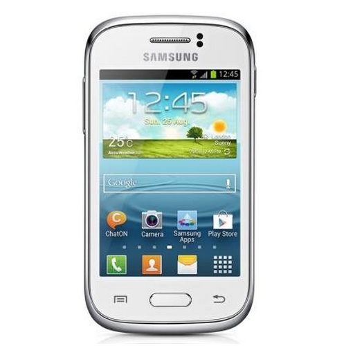 Samsung Galaxy Young S6310 Recovery-Modus