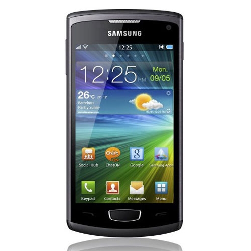Samsung S8600 Wave 3 Download-Modus