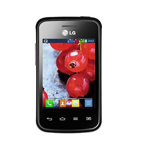 LG Optimus L1 II Tri E475 Entwickler-Optionen