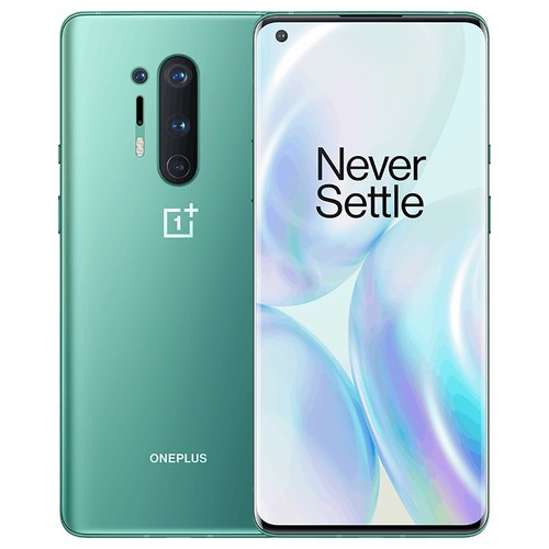 OnePlus 8 Pro Recovery-Modus