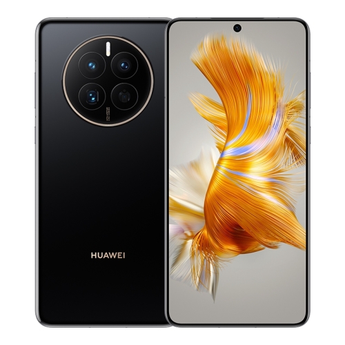 Huawei Mate 50 Pro Download-Modus